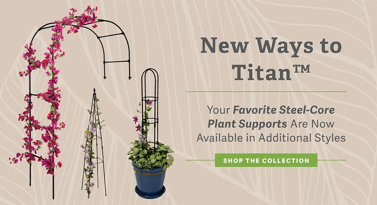 Cultivate Your Dream Garden Today